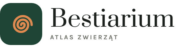 Bestiarium - atlas zwierząt